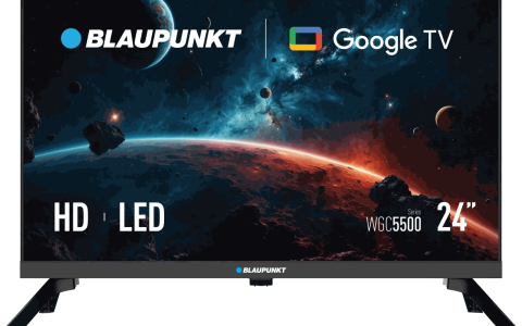 24″ HD LED Google TV (24WGC5500S)