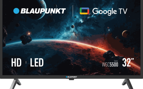 32″ HD LED Google TV (32WGC5500S)