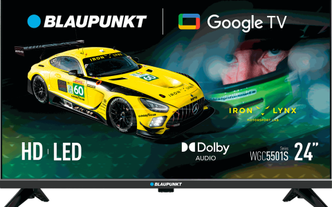 24″ HD LED Google TV (24WGC5501S)