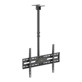 Economy TV Ceiling Mount