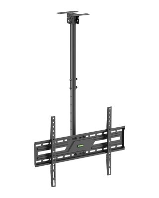 Economy TV Ceiling Mount