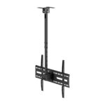 Economy TV Ceiling Mount