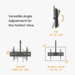 Economy TV Ceiling Mount