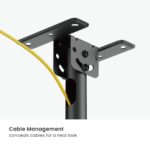 Economy TV Ceiling Mount
