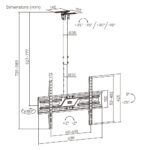 Economy TV Ceiling Mount