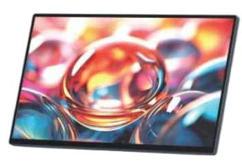 18.5-inch Portable Monitor